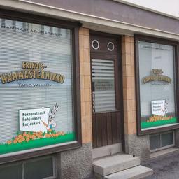 Erikoishammasteknikko Tea Valli