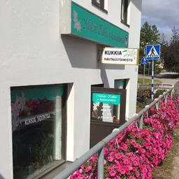 A. Mölsä om. Hannu Valkonen